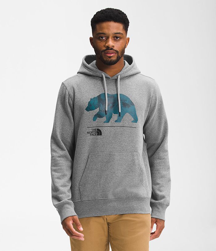 The North Face Mens Hoodie Bearscape Pullover 816HFGZWU - Grey